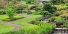 Japanese Garden - Cowra 